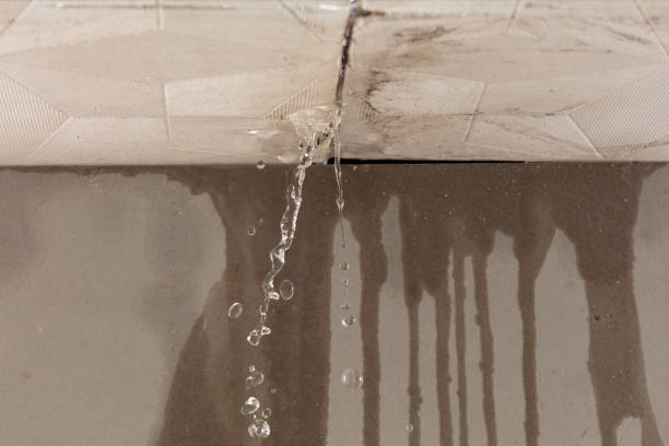 Professional Structural Drying technician working in Viroqua, WI